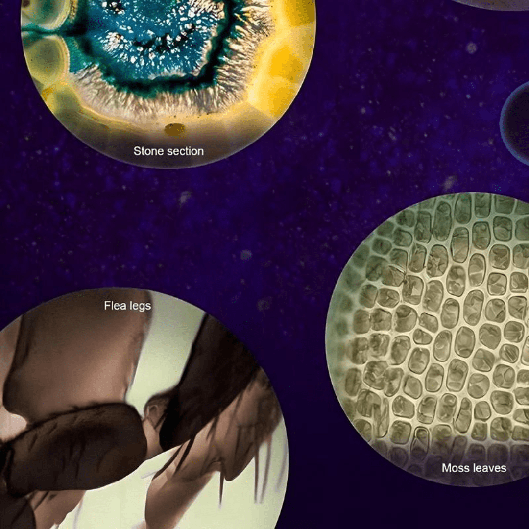 TinyMate Kids Portable Microscope