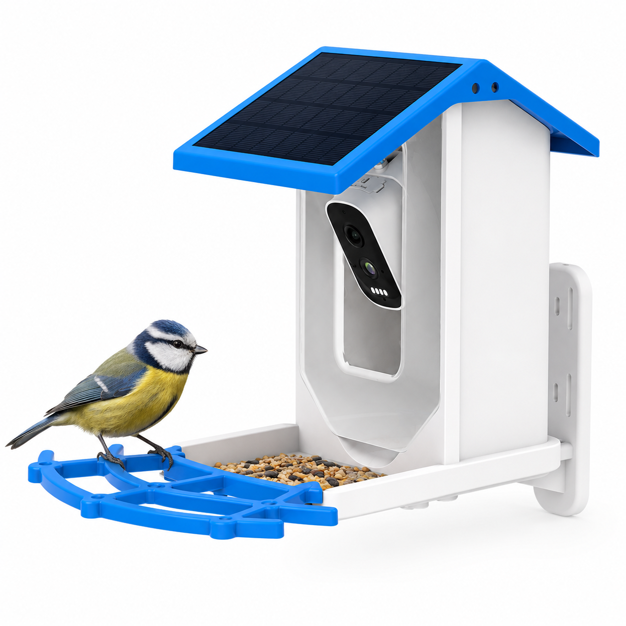 BirdVue - AI Smart Bird Feeder Camera